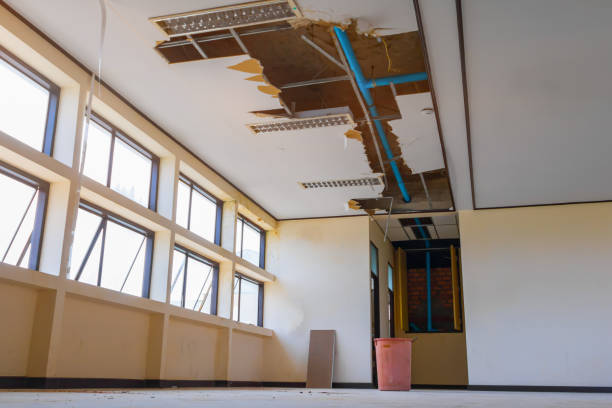 Best Residential water damage restoration  in South Park, WY