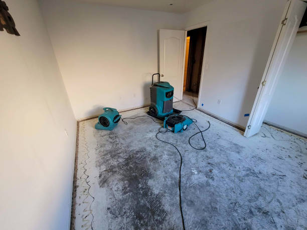Best Ceiling water damage repair  in South Park, WY