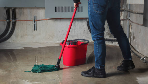 Best Water damage restoration process  in South Park, WY