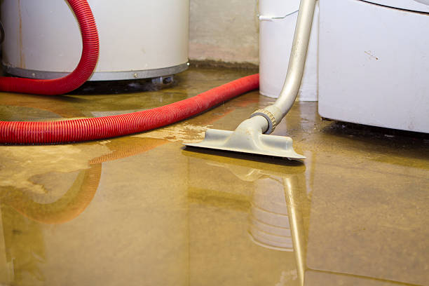 Best Flood damage cleanup  in South Park, WY