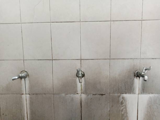 Best Flood restoration services  in South Park, WY
